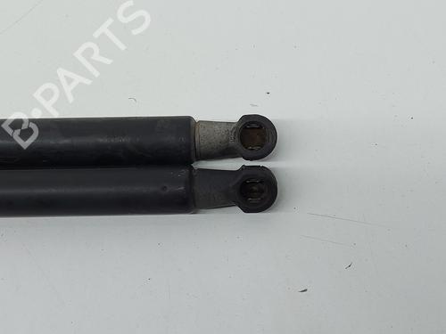 Tailgate lift support NISSAN QASHQAI / QASHQAI +2 I (J10, NJ10, JJ10E) 1.5 dCi | BP21519126C138 