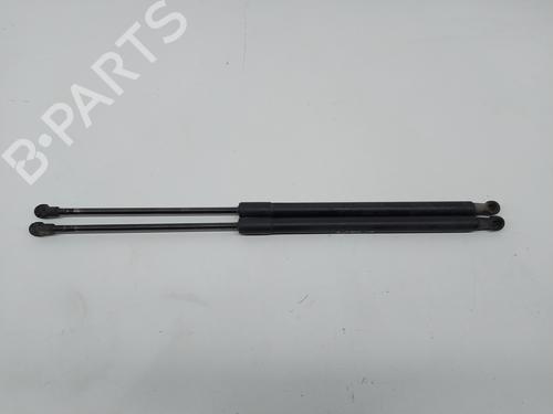 Used Tailgate lift support NISSAN QASHQAI / QASHQAI +2 I (J10, NJ10, JJ10E) 1.5 dCi (103 hp) 21519126