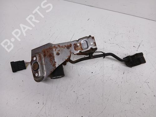 Pedal NISSAN TERRANO II (R20)  | BP29591013I4 