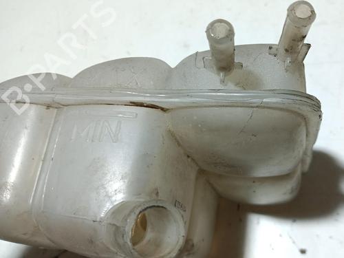 Expansion tank FORD FOCUS II (DA_, HCP, DP)  | BP20817266C120 