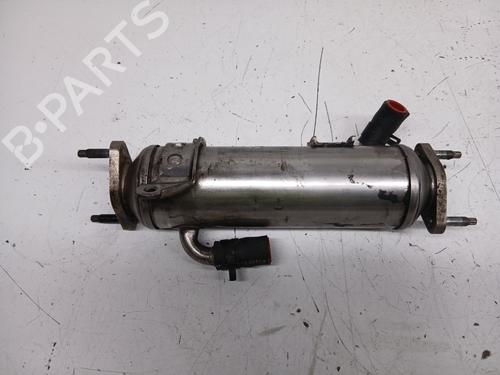 Used Egr NISSAN TERRANO II (R20) 2.7 TDi 4WD (125 hp) 29913444