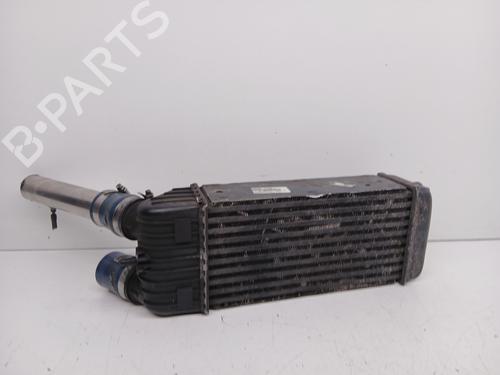 Intercooler PEUGEOT 207 (WA_, WC_) | BP32445109M30