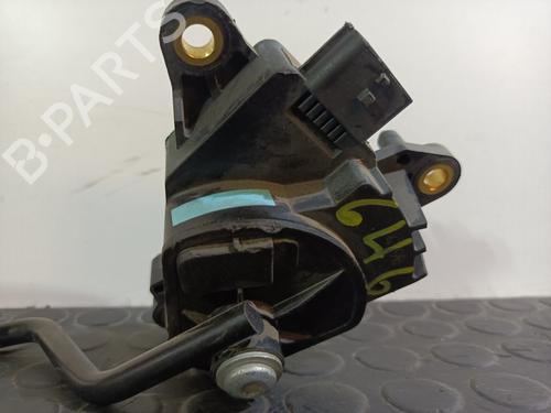 Pedal RENAULT CLIO III (BR0/1, CR0/1) 1.5 dCi (BR17, CR17) | BP20828846I4 