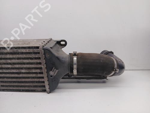 Intercooler FIAT BRAVO II (198_) 2.0 D Multijet (198AXN1B) | BP30580171M30 