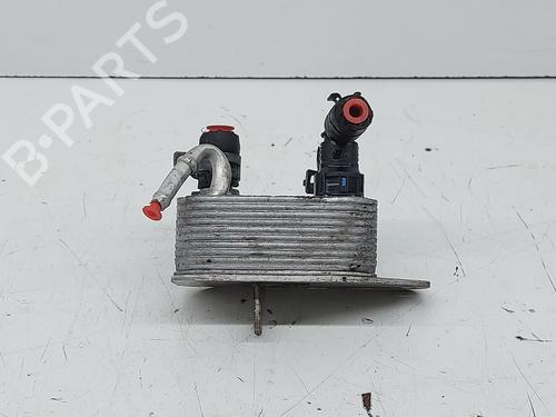 Used Oil radiator VW TOUAREG (7LA, 7L6, 7L7) 2.5 R5 TDI (174 hp) 32504400