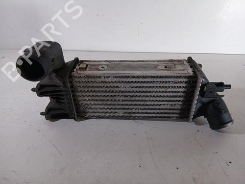 Used Intercooler Intercooler PEUGEOT 406 (8B) [1995-2005] 33039728 33039728