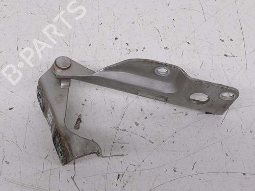 Hinge/Door check strap NISSAN PATHFINDER III (R51)  | BP27547421C146 