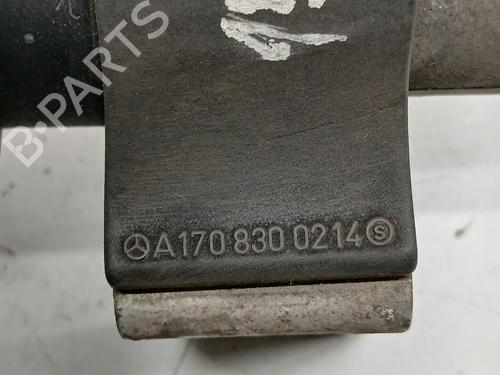  - Image 4