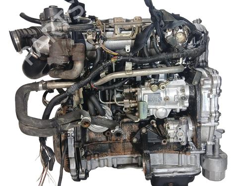 Engine NISSAN ALMERA II (N16) 2.2 dCi | BP30438282M1
