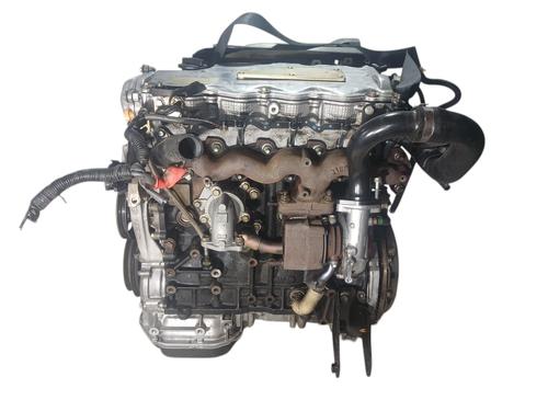 Engine NISSAN ALMERA II (N16) 2.2 Di | BP33852912M1 - Image 4