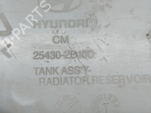 Expansion tank HYUNDAI SANTA FÉ II (CM) 2.2 CRDi GLS | BP26191133C120 