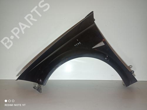 Used Left front fenders RENAULT MEGANE II Coupé-Cabriolet (EM0/1_) [2003-2010]  22902265