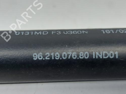 Tailgate lift support CITROËN XSARA (N1)  | BP27878160C138 