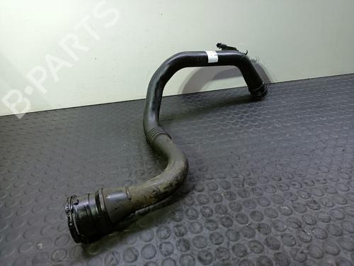 Rør RENAULT MEGANE III Hatchback (BZ0/1_, B3_) 1.5 dCi (BZ09, BZ0D, BZ1W, BZ29, BZ14) (110 hp) 31841397