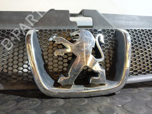 Grille PEUGEOT 406 (8B) 2.2 HDi | BP20815604C40 