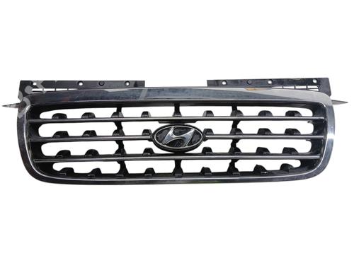Griglia anteriore Griglia anteriore HYUNDAI TRAJET (FO) 2.0 (136 hp) 33964782 33964782
