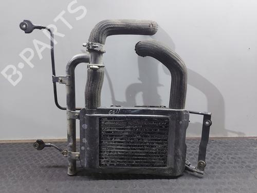 Used Intercooler MITSUBISHI L200 (K7_T, K6_T, K5_T) 2.5 TD 4WD (K74T) (99 hp) 28327892