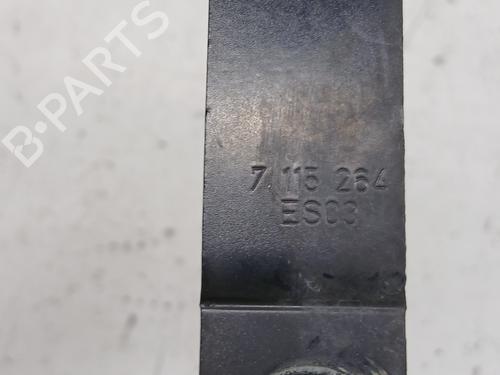 Hinge/Door check strap BMW 3 (E90) 320 d | BP29512331C146 