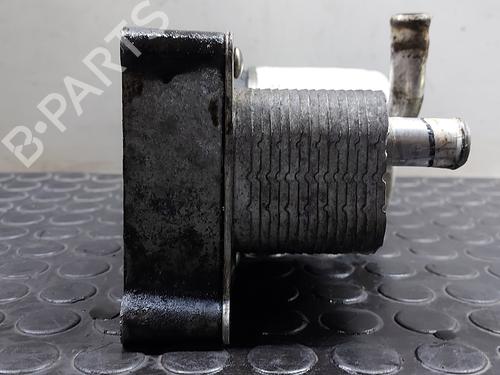 Support FORD TRANSIT CONNECT (P65_, P70_, P80_) 1.8 TDCi | BP20829142C155 