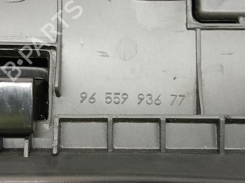 Glove box PEUGEOT 308 I (4A_, 4C_)  | BP29491256C95 