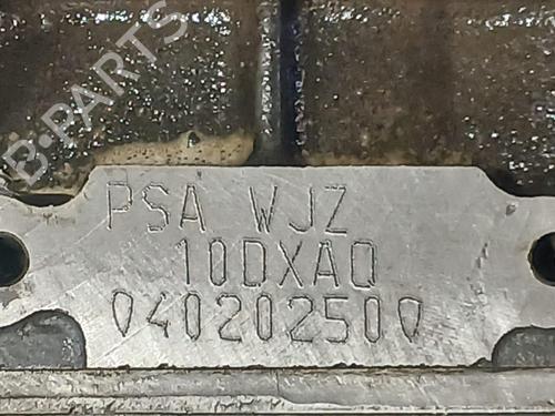 Motor CITROËN BERLINGO / BERLINGO FIRST MPV (MF_, GJK_, GFK_) 1.9 D (MFWJZ) | BP29944721M1