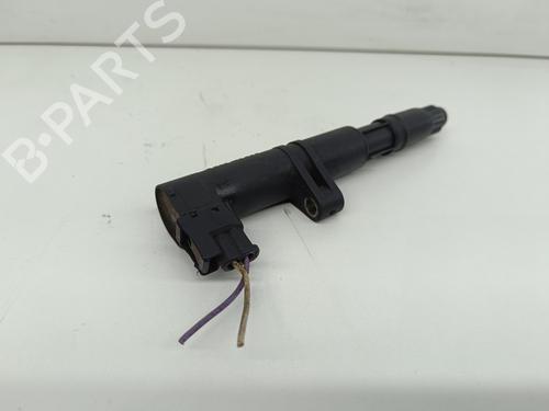 Ignition coil RENAULT SCÉNIC II (JM0/1_)  | BP21760147M94 