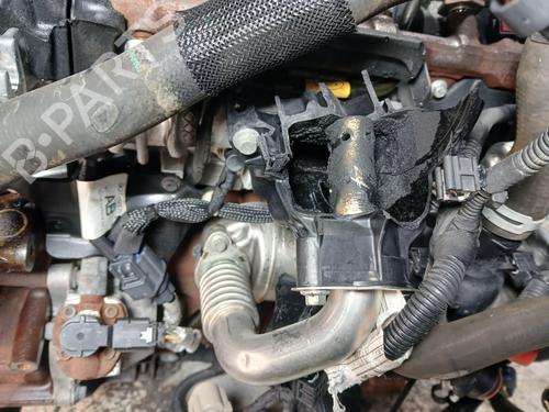 Engine FORD TRANSIT CUSTOM V362 Van (FY, FZ)  | BP32725000M1  - Image 5