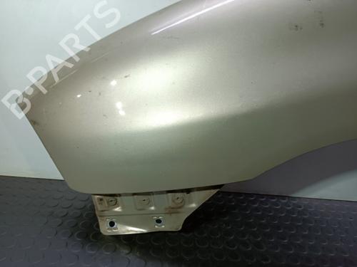 Left front fenders SEAT CORDOBA (6L2) 1.9 TDI | BP22900832C41 