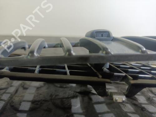 Grille BMW 3 (E46) 320 d | BP20819503C40 