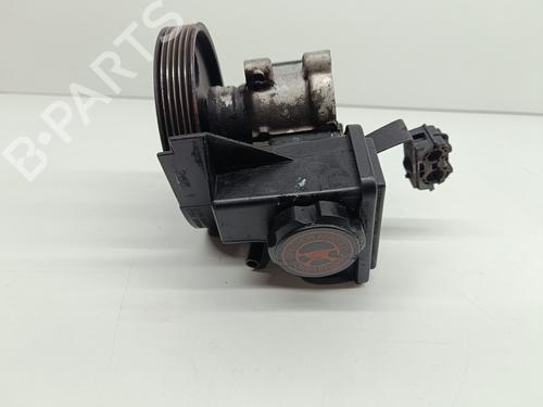 Steering pump PEUGEOT 206 Hatchback (2A/C) 1.4 LPG | BP20831684M99 