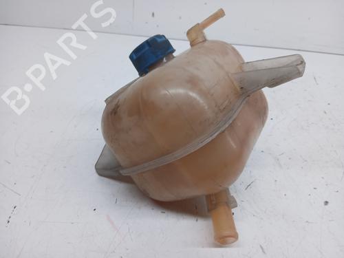 Expansion tank FIAT DOBLO Platform/Chassis (263_) 1.3 D Multijet | BP29409029C120 