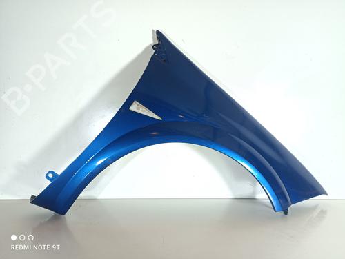 Used Right front fenders RENAULT MEGANE II (BM0/1_, CM0/1_) 1.9 dCi (131 hp) 22967666