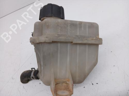 Expansion tank NISSAN QASHQAI / QASHQAI +2 I (J10, NJ10, JJ10E)  | BP26332380C120 