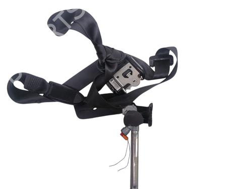 Front right seatbelt RENAULT MEGANE III Hatchback (BZ0/1_, B3_)  | BP32446955I25 