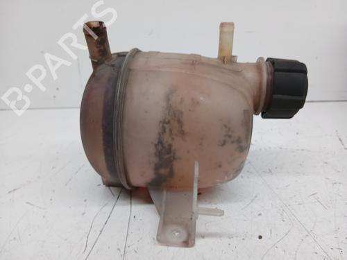 Expansion tank RENAULT KANGOO (KC0/1_) 1.5 dCi | BP29484044C120 