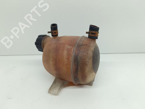 Expansion tank RENAULT KANGOO (KC0/1_) 1.5 dCi (KC07) | BP21288068C120