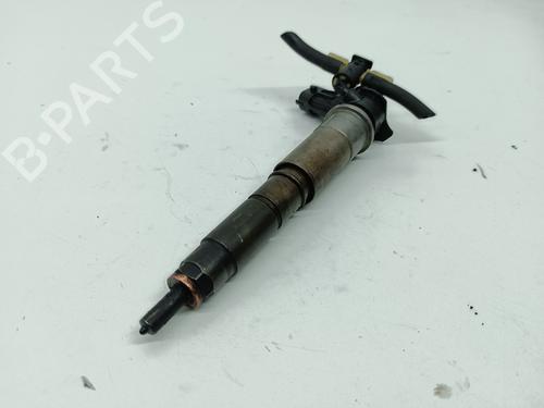 Injector RENAULT SCÉNIC II (JM0/1_)  | BP25771236M100 