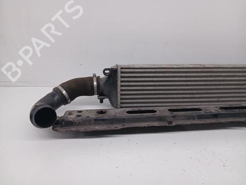 Intercooler FIAT BRAVO II (198_) 2.0 D Multijet (198AXN1B) | BP30580171M30 