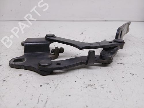 Hinge/Door check strap BMW 3 (E90) 320 d | BP29512331C146 