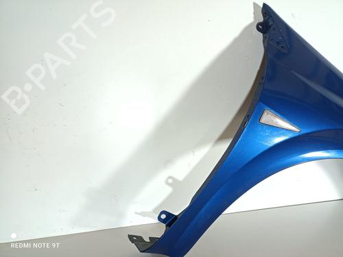 Right front fenders RENAULT MEGANE II (BM0/1_, CM0/1_) 1.9 dCi | BP22967666C42 
