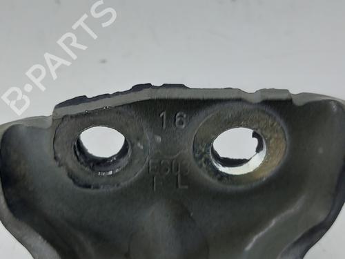 Hinge/Door check strap NISSAN QASHQAI / QASHQAI +2 I (J10, NJ10, JJ10E)  | BP26332407C146 