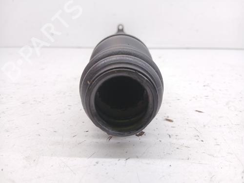  - Image 6