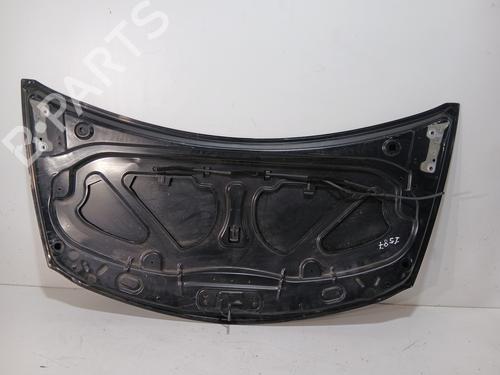 Hood RENAULT CLIO III (BR0/1, CR0/1) 1.2 16V (BR0P, CR0P) | BP20841027C1 