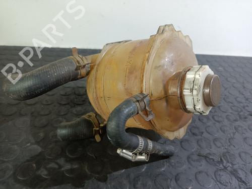 Used Expansion tank RENAULT CLIO II (BB_, CB_) 1.9 D (B/CB0E, BB0J) (64 hp) 28721851