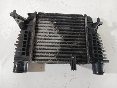 Intercooler RENAULT CLIO II (BB_, CB_) [1998-2016]  33039729