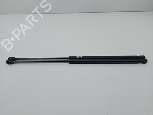 Gassdemper Bakluke FORD C-MAX (DM2) 1.8 TDCi (115 hp) 22232882