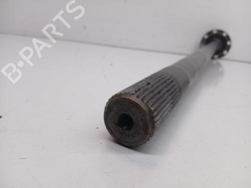  - Image 3