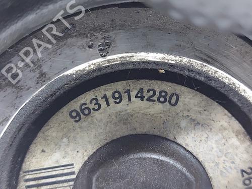 Steering pump CITROËN XSARA PICASSO (N68) 2.0 HDi | BP20831509M99 