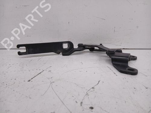 Hinge/Door check strap BMW 3 (E90) 320 d | BP29512331C146 