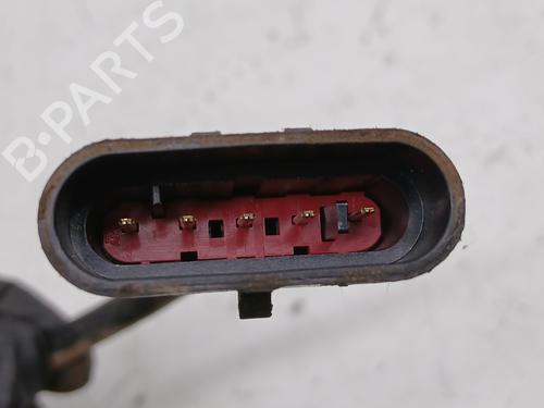 Pedal NISSAN TERRANO II (R20)  | BP29591013I4 